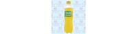 Big ananas 40CL